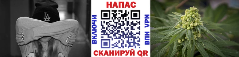 Наркошоп купить Псилоцибиновые грибы  Кокаин  МЕФ  АМФ  Гашиш  A PVP  Таганрог