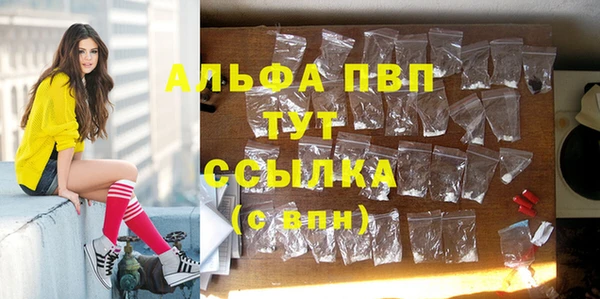 хмурый Нефтекумск