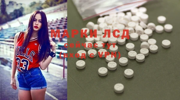 хмурый Нефтекумск
