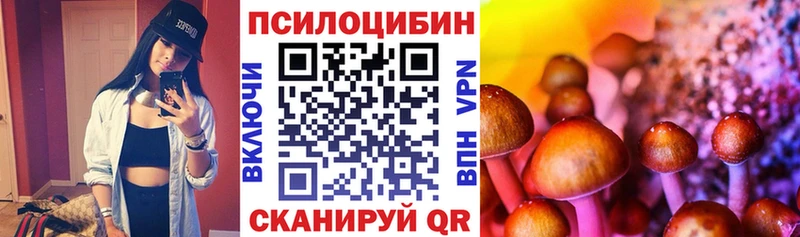 Псилоцибиновые грибы Psilocybe  Купить  Таганрог 